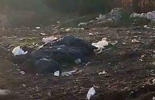 Vatandaşların kirlettiği ormanlık alanı muhtar...