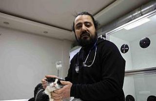 Veterinerler yangında yaralanan 11 kedinin gönüllü...