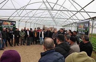 Vezirköprü’de çiftçiye 12 bin 500 meyve fidanı