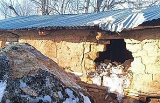 Yamaçtan kopan dev kaya neredeyse evi yıkıyordu