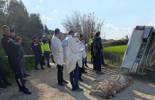 Yaşlı adam tarla komşusunu ezerek öldürdü