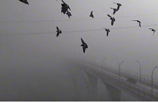 Yoğun sisten kaybolan yapılar dronla görüntülendi