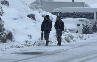 Yüksekova’da kar yağışı etkili oldu