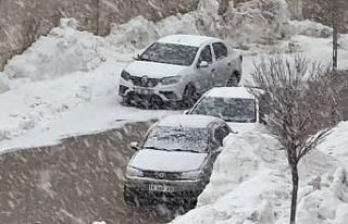 Yüksekova’da lapa lapa kar yağışı başladı