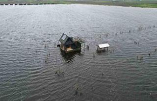 Yüzen evler...Ulubat Gölü taştı, felaket havadan...