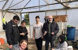 Zeytincilik öğrencileri BAÇEM’de uygulamalı...