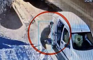 13 kez aynı iş yerinden hırsızlık yaptı