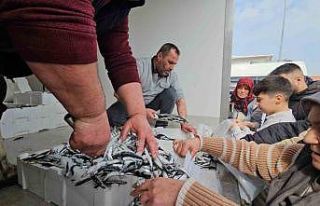 1 ton hamsi 15 dakika da tükendi