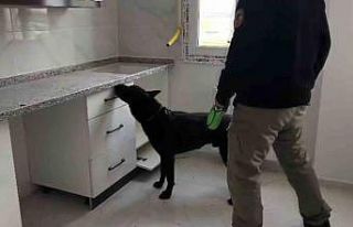 72 bin extacy yakalatıp "bizim değil"...