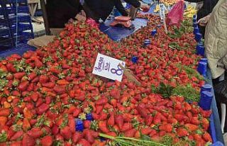80 TL’lik çileğe yoğun ilgi