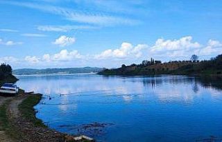 Adana’da barajlar doldu