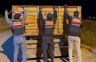 Adana’da kaçak makaron operasyonu: 1 tutuklama