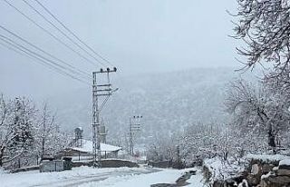 Adana’da yaylalarda kar etkili oldu