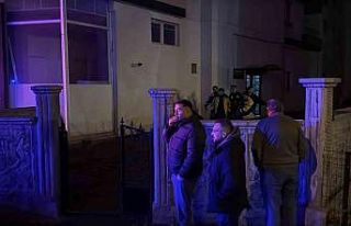 Ağabeyini ve babasını öldüren 15 yaşındaki...