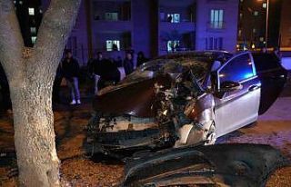 Ağaca çarpan otomobil hurdaya döndü: 3 yaralı