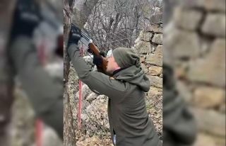 Ağaca takılan dronu tüfekle dala ateş ederek kurtardılar