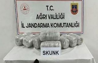 Ağrı’da 10 kilogram skunk ele geçirildi, 1 şüpheli...