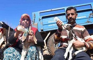 Akaryakıt karıştığı iddia edilen yağmur suyu...