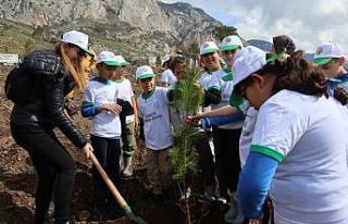 Akyaka’da yanan alan fidanlarla yeşeriyor
