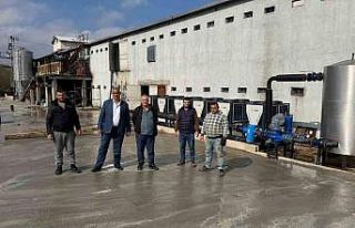 Alaplı Çayı’nda telef olmuş tavukların bulunmasının...