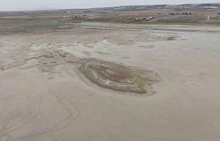 Allı turnaların yuvası yok oluyor