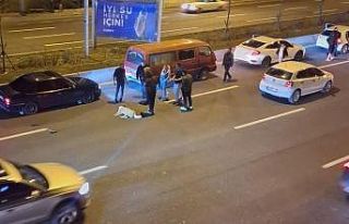 Ankara’da başıboş köpek sorunu kazalara neden...