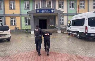 Antakya’da canlı hayvan çalan şüpheli yakalandı