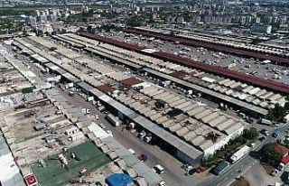 Antalya’da Şubat ayında meyve işlem miktar endeksi...