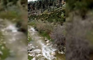 Araban’da kuruyan Ardıl Çayı yıllar sonra yeniden...