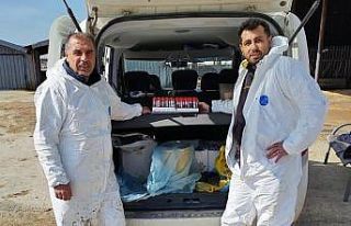 Ari işletmede tüberküloz ve brusella testi yapıldı