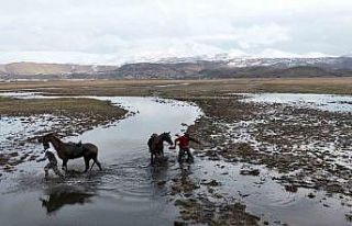 Atla gezi suda bitti