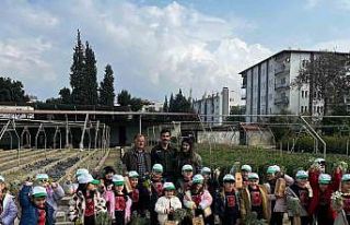 Aydın’da miniklere orman sevgisi aşılandı