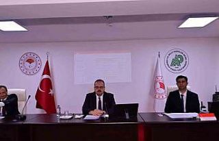 Aydın’da sahipsiz hayvanlara yönelik çalışmalar...