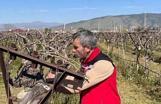 Bağlarda hastalık ve zararlı kontrolü yapılıyor