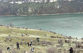 Bahar çiçeği nergisler doğaseverlerin ilgi odağı...