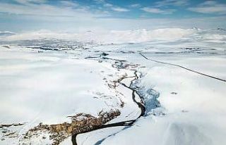 Bahar kapıdayken Diyadin’de kış geri döndü