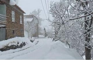 Bahçesaraylılar açtıkları kar tünelleriyle günlük...