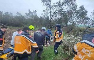 Balıkesir’de kontrolden çıkan otomobil zeytinliğe...