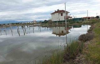 Balıkesir’de yazlıklar su içinde kaldı