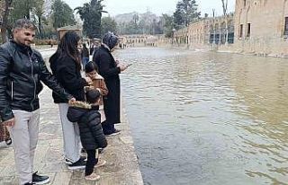 Balıklıgöl normale döndü