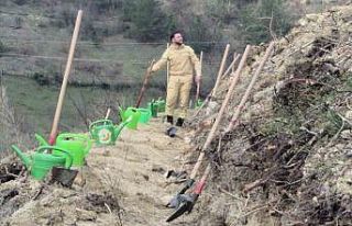 Bartın’da geçen yıl yanan ormana 400 fidan dikildi