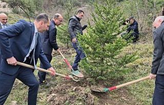 Bartın’da hükümlüler fidan dikti