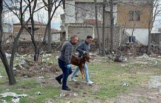 Başıboş köpeğin saldırdığı 3 yaşındaki...