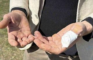 Başıboş pitbull, vatandaş ile köpeğine dehşeti...