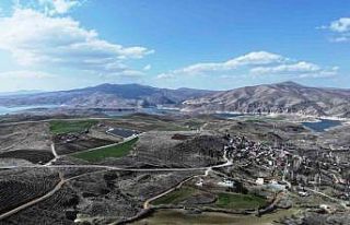 Başkan Çolakbayrakdar: "Türkiye’de ağaç...