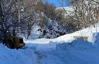 Batman’da karla mücadele çalışmaları sürüyor