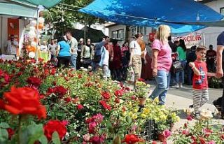 Bayındır Çiçek Festivali için geri sayım başladı