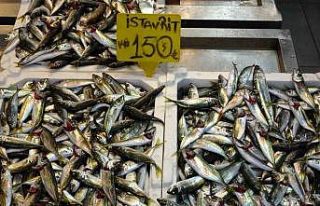 Bayram öncesi balık tezgahlarında bolluk