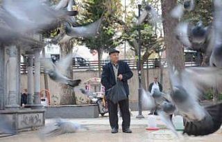 Bayramda eşini dostunu bıraktı, beslediği kuşlara...