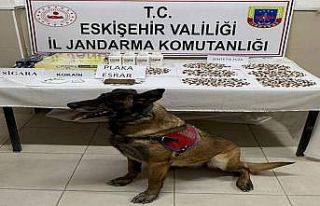 Belçika’dan gelen uyuşturucuyu Afyonkarahisar’a...